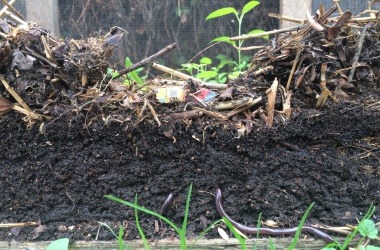 Compost side view