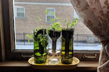 DIY Windowsill Herb Garden Class
