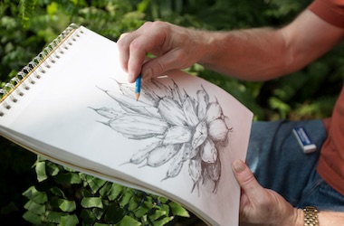 Botanical Drawing Senior Series