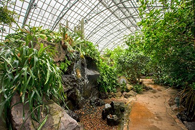 Gardens & Collections - Garfield Park Conservatory