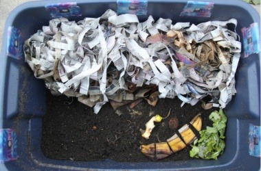 View inside of a worm bin with shredded newspaper and cut up food scraps on top of worm castings.