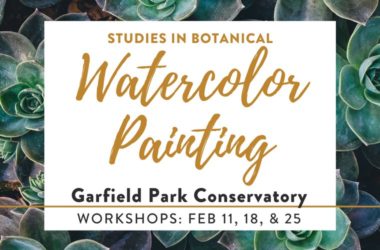 Studies in Botanical Watercolor Painting