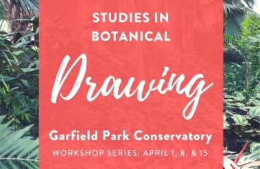 Studies in Botanical Drawing Class