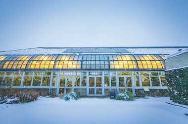 Photo of the Conservatory building at dusk with lights on and snow outside of the building.
