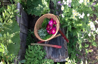 A basket of freshly foraged foods & herbs - from our presenter, Nina!