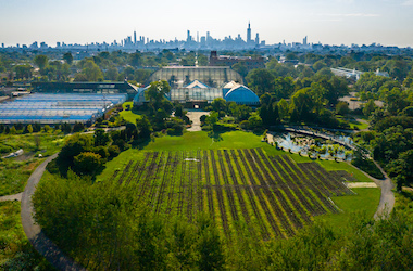 View of Garfield Park Conservatory and Cabbage Patch from the sky