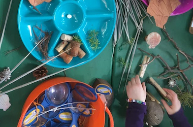 Above view of table with dried plant parts and child's hands.