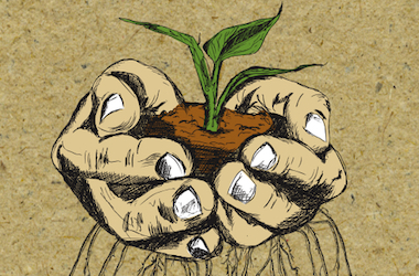 Drawing of two hands cupping a seedling and soil