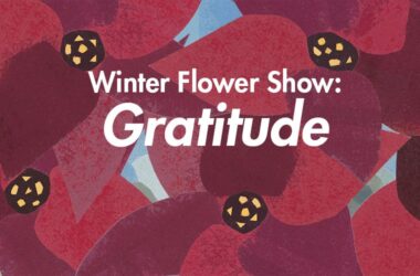 Winter Flower Show: Gratitude white text over red collage poinsettias in the background