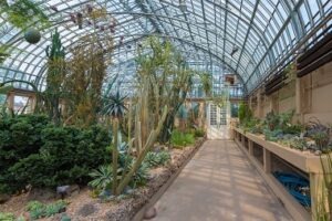 Virtual Tour: Desert House - Garfield Park Conservatory