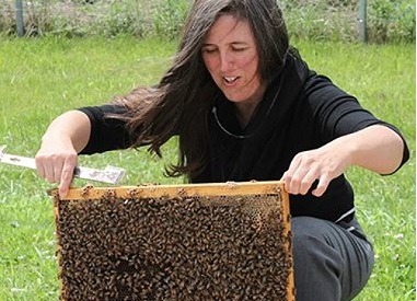 Woman holding a frame covered in bees