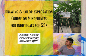 Drawing & Color Exploration Course on Mindfulness – Senior Series