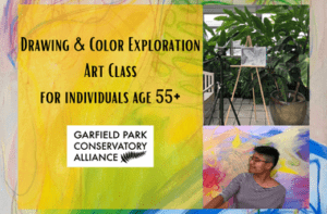 Drawing & Color Exploration Art Class – Senior Series