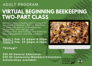 Flyer for upcoming virtual adult program, Beginning Beekeeping class. This class is in two parts and takes place on February 22nd and 29th, between 6pm and 8:30pm on both days. The cost for this program is $50 for general admission, $40 for community members and GPCA members and volunteers; however, scholarships are available!