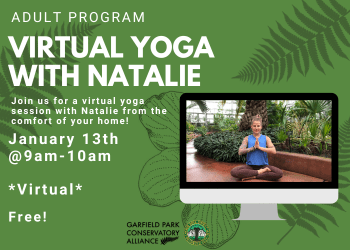 Flyer containing details for upcoming virtual yoga session with Natalie happening January 13th from 9am to 10am