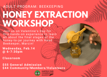 Flyer for upcoming adult program at Garfield Park Conservatory, Honey Extraction Workshop taking place in the classroom at the Conservatory on February 14th from 6pm-7:30pm