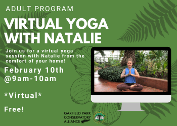 Flyer for upcoming session of virtual yoga with Natalie on February 10th from 9am-10am