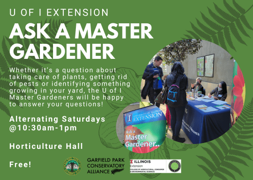 Flyer for recurring program between Garfield Park Conservatory and the University of Illinois Extension Master Gardener program. Ask a Master Gardener takes place in Horticulture Hall at Garfield Park Conservatory from 10:30am to 1pm. The past few months it has taken place every Saturday, but starting in June, their schedule will be alternating Saturdays, so in June, June 01, 15, and 29
