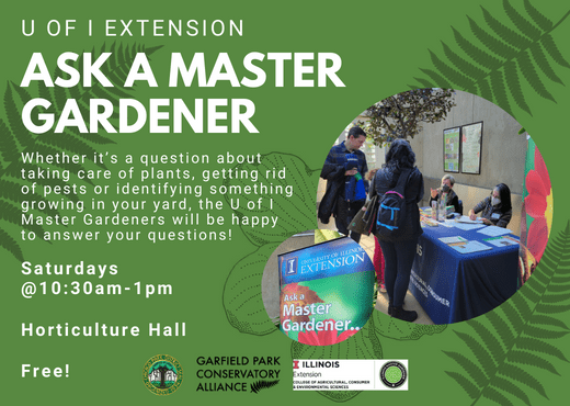 Flyer for recurring program between Garfield Park Conservatory and the University of Illinois Extension Master Gardener program. Ask a Master Gardener takes place in Horticulture Hall at Garfield Park Conservatory on Saturdays from 10:30am to 1pm