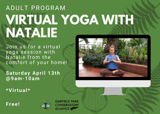 Flyer for upcoming virtual session of yoga with Natalie on April 13th from 9am-10am live streamed via Zoom from the Garfield Park Conservatory
