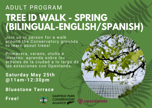 Flyer for upcoming Spring Tree ID Walk at Garfield Park Conservatory, taking place around Bluestone Terrace on May 25th from 11am to 12:30pm. This event is free and open to the public, with reservation.