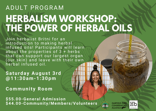 Flyer for upcoming program, The Power of Herbal Oils Workshop. This hands-on workshop will be taking place in the Community Room on Saturday August 3rd from 11:30am-1:30pm. The cost of admission is $55 for the general public and $44 for community, members, and volunteers. Scholarships are available; applications will be accepted through July 27th at 9am.