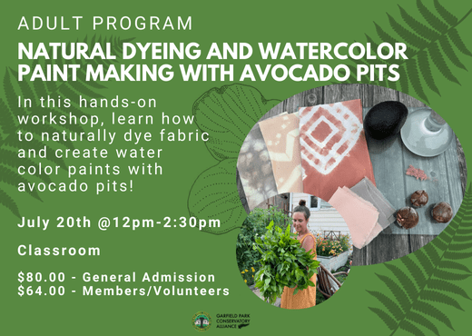 Flyer for upcoming program, Natural Dyeing and Watercolor Paint Making with Avocado Pits. This hands-on workshop will be taking place in the Classroom on Saturday afternoon, July 20th from 12pm-2:30pm. The cost of admission is $80 for the general public and $60 for community, members, and volunteers. Scholarships are available; applications will be accepted through July 12th at 5pm.