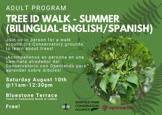 Flyer for upcoming Summer Tree ID Walk with Openlands on Saturday, August 10th from 11am-12:30pm at the Garfield Park Conservatory. This program is free with registration. We will walk around Bluestone Terrace identifying trees, but participants should meet in the Community Room upon arrival.