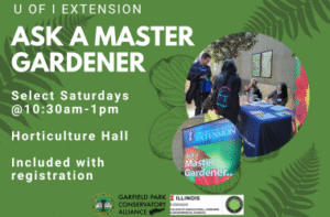 Garfield Park Conservatory