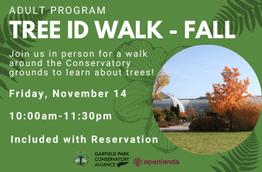 AdultPrograms_tree ID walk fall 11.14_WordPress (1)
