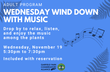 Wednesday Wind Down_music 11.19_wordpress (1)