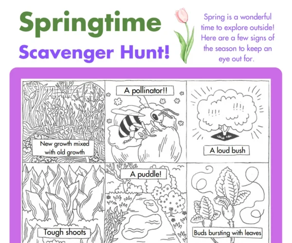 A screenshot of a scavenger hunt that focuses on the theme of spring! It has drawings of a pollinator, loud bush, tough shoots, new growth growing over old growth and more!