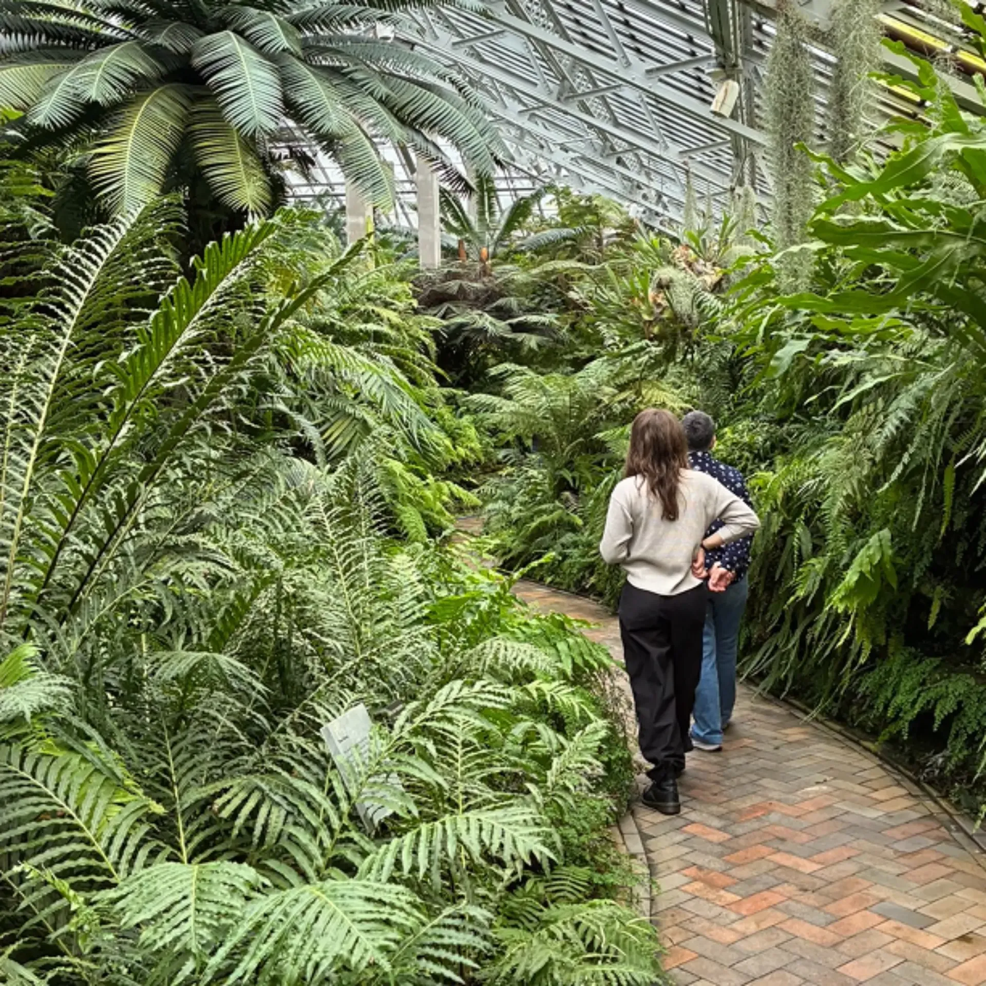 Two visitors walk along a brick pathway inside a glass conservatory