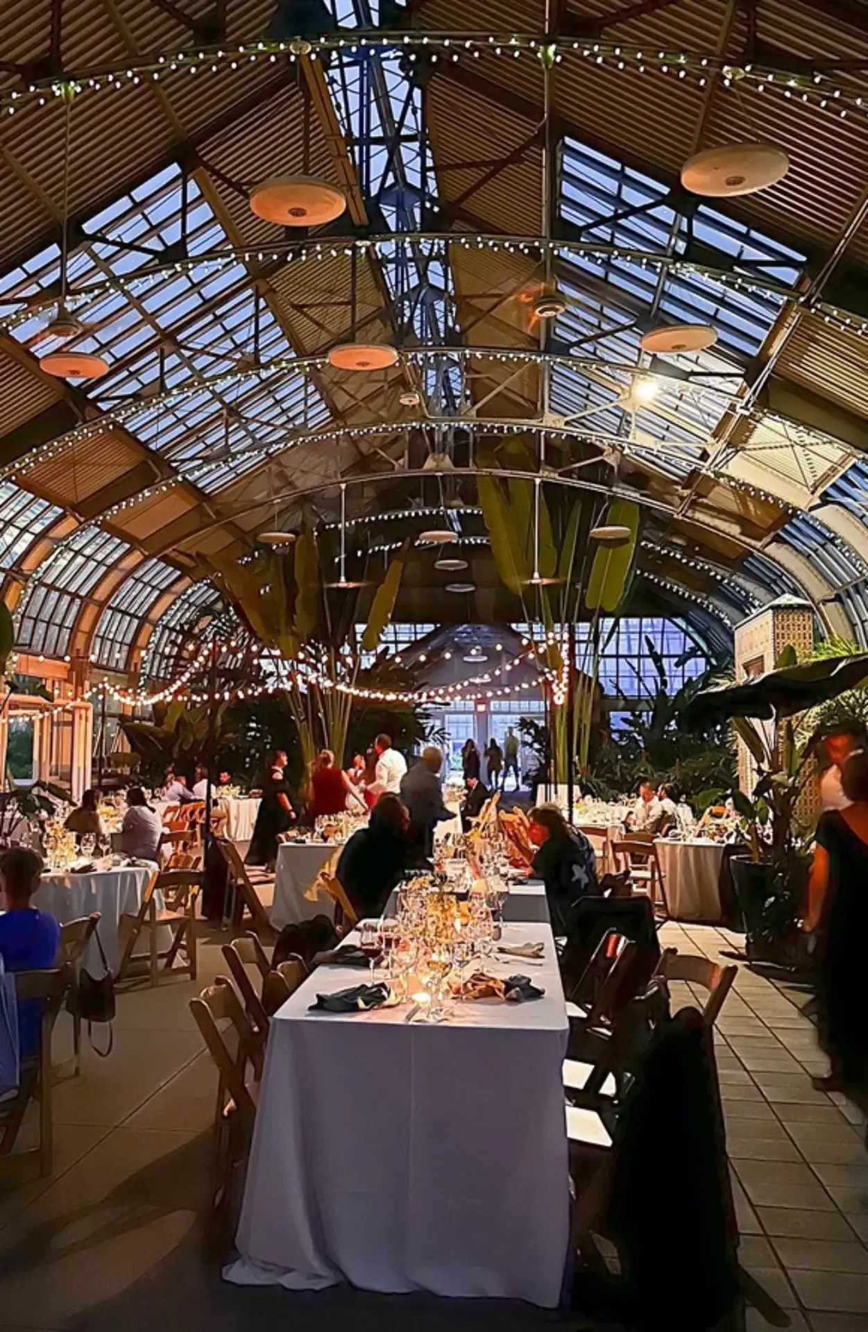 Formal dinner event in glass conservatory with string lights, set tables, and tropical plants