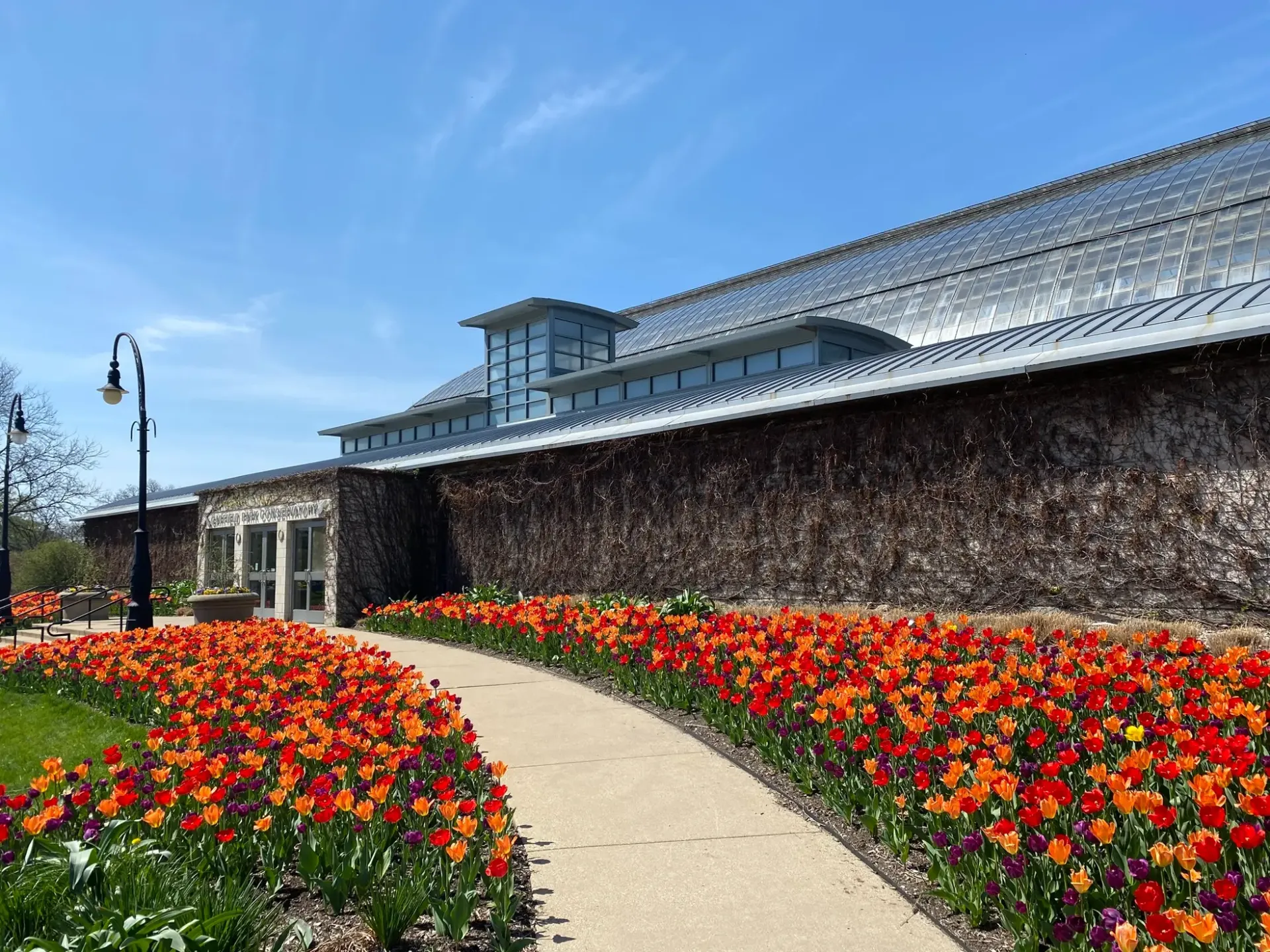 Garfield Park Conservatory exterior with vibrant red, orange, and purple tulips lining the entrance walkway