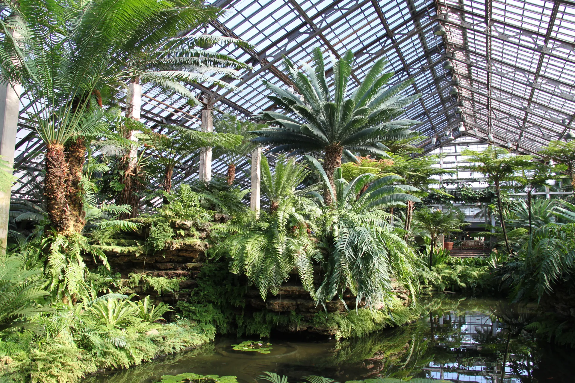 The Fern Room