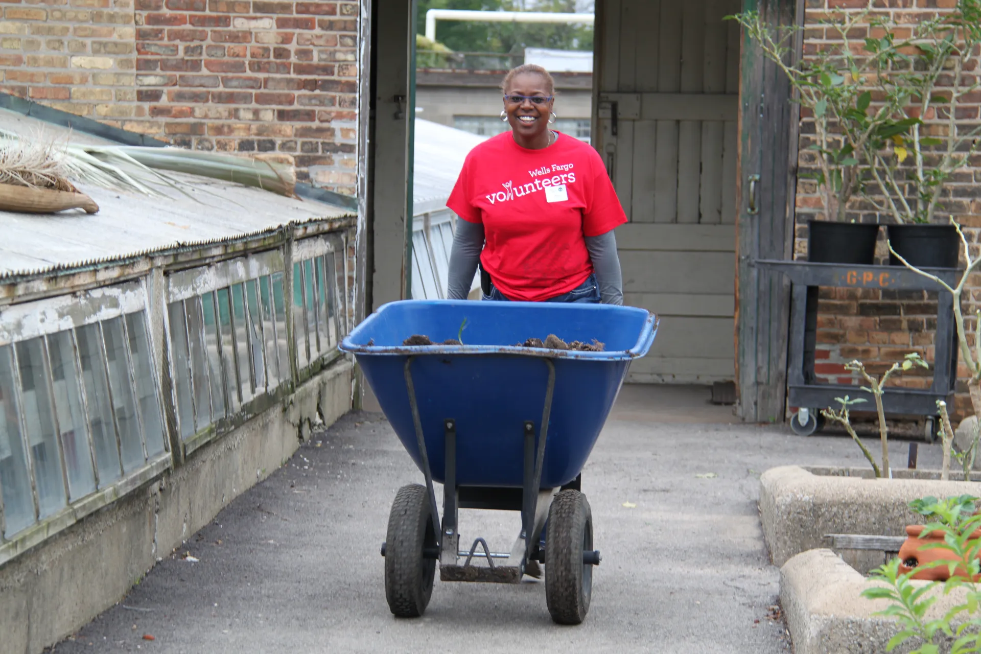 A volunteer with a wheelbarrow.