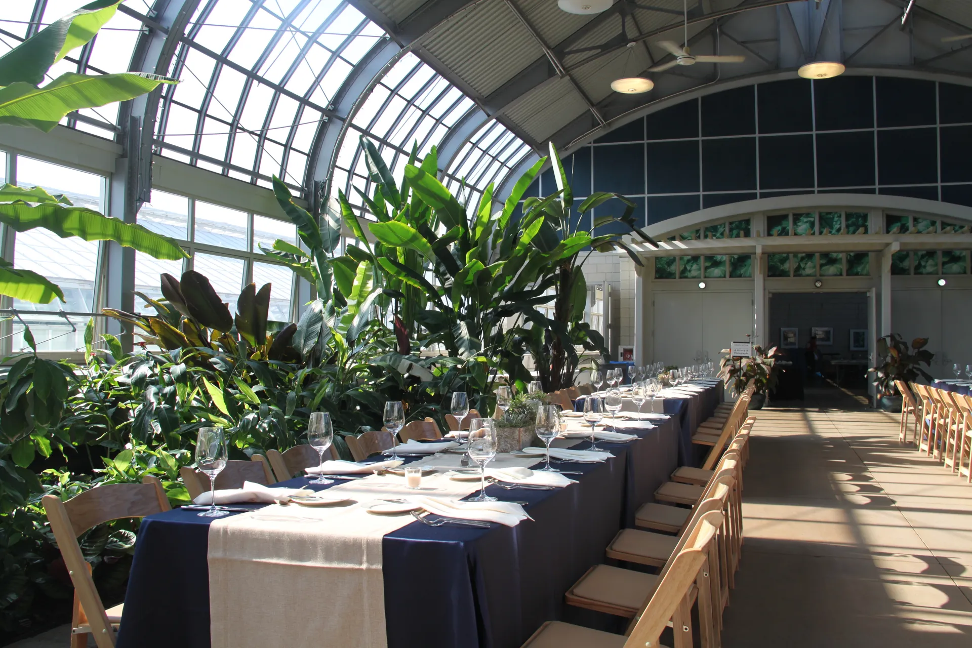 Long table with chairs in horticulture hall, with table settings with plants in the background