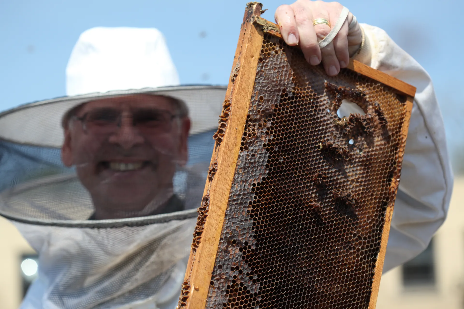 Image depicts a volunteer beekeeper smiling while wearing a white beekeeping hat and veil. He is holding up a bee hive frame.