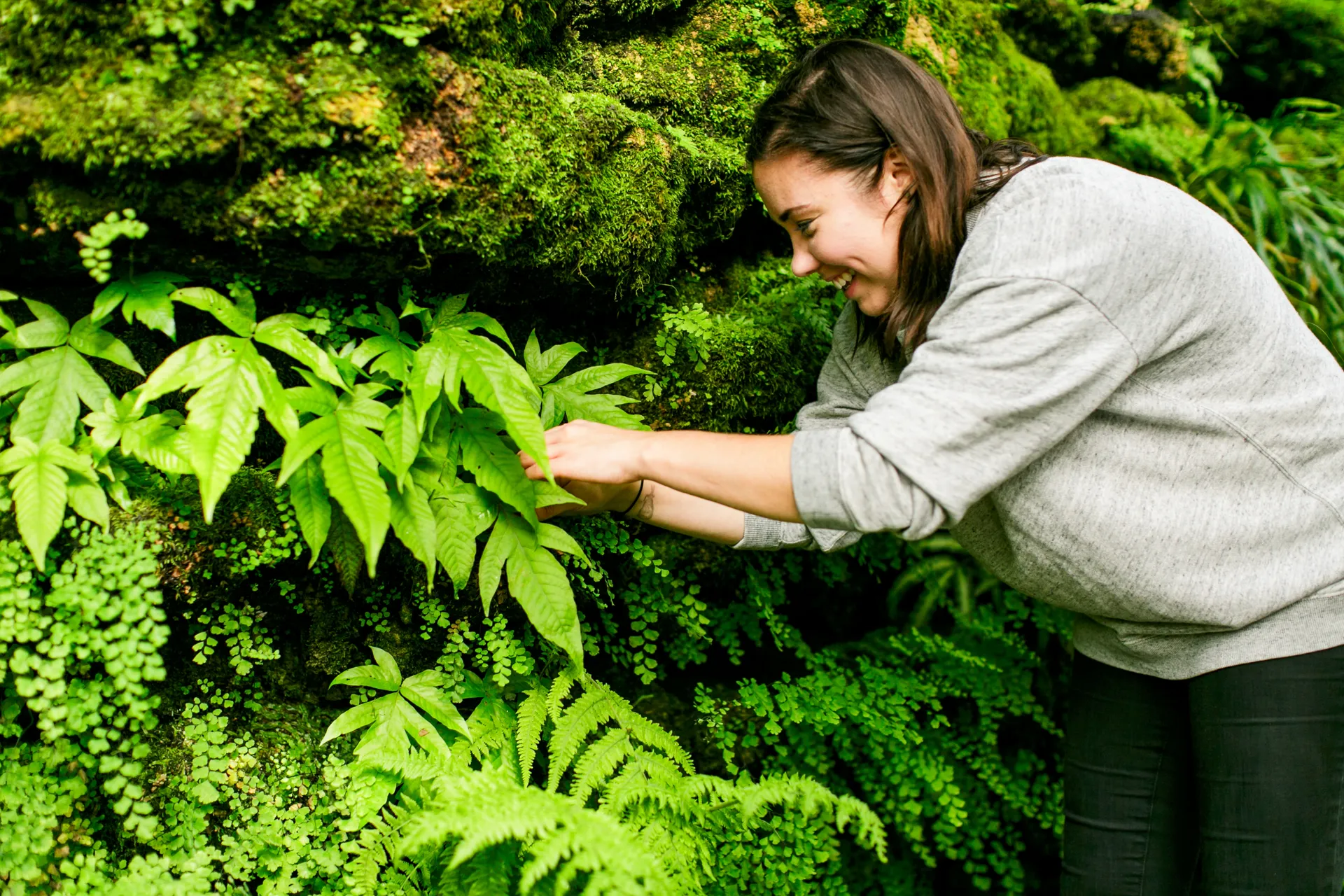 image depicts a volunteer smiling while tending to bright green ferns on a rock wall.