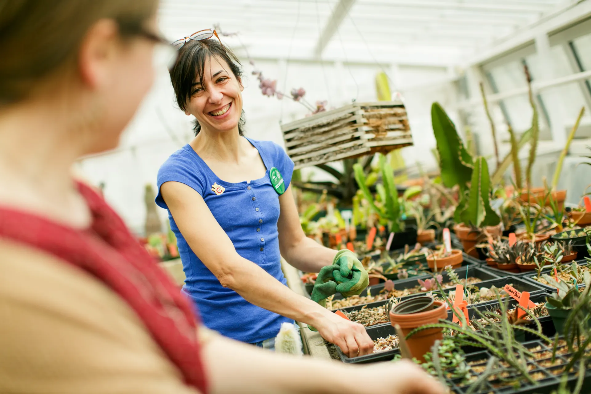 Image depicts two women in a green house. They are working on repotting cacti. They are smiling.
