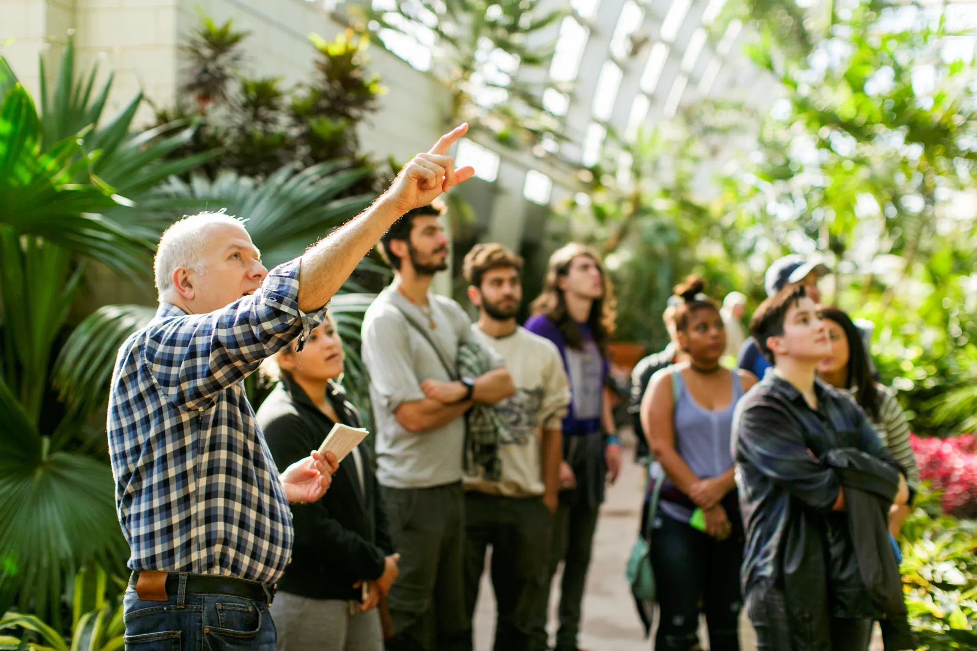 Image shows a tour guide in the foreground pointing up to something out of frame. He is speaking to a group of nine people in a large greenhouse. It is sunny and green.