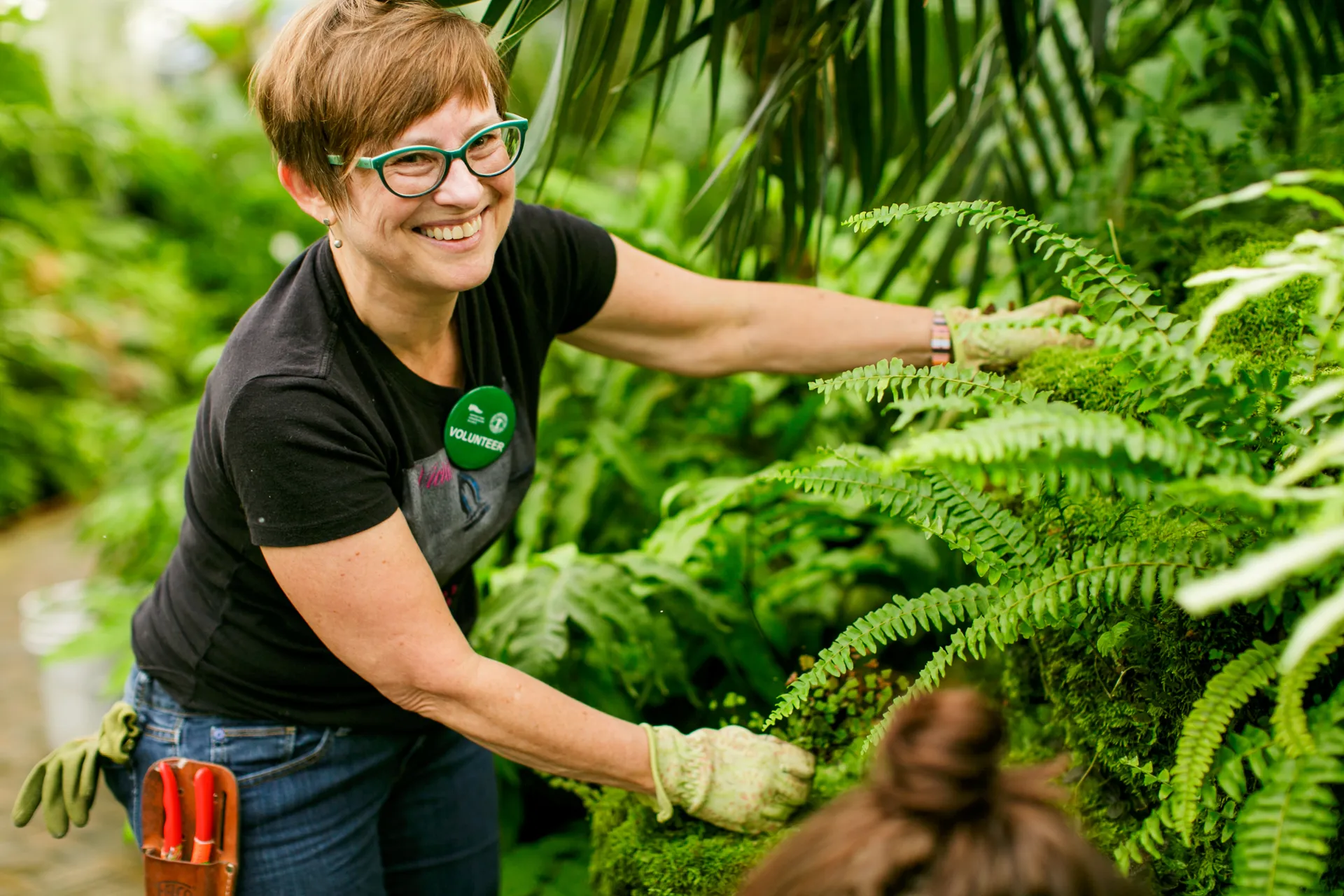 A woman smiling and gardening in a greenhouse filled with ferns. She is wearing a black shirt, blue jeans, gardening gloves, and a green button on her shirt that says volunteer.