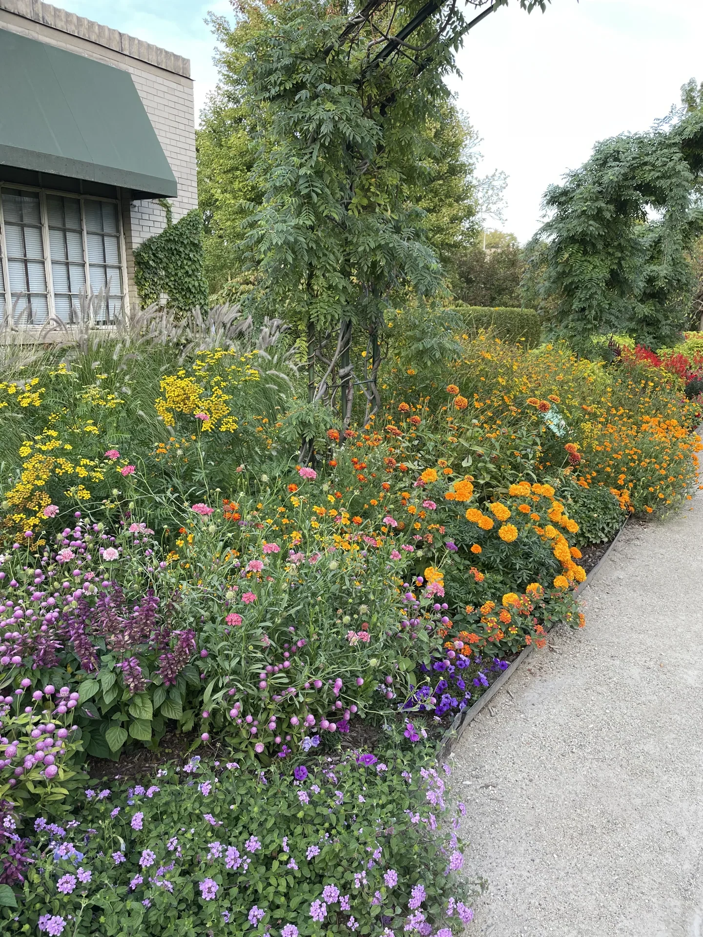 Artist's Garden in full bloom with administrative building and archway in the background.