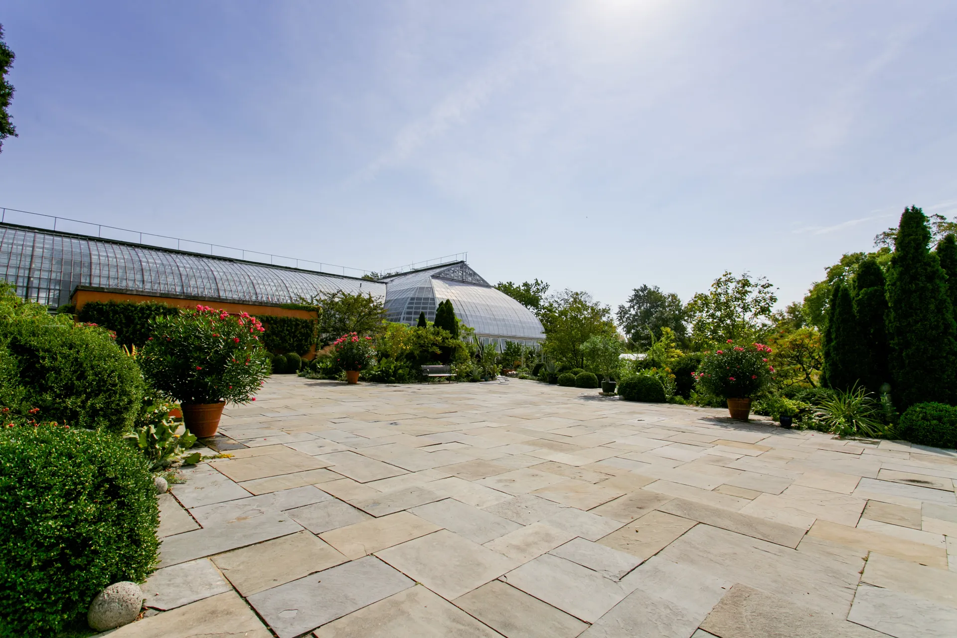 View of the Bluestone Terrance flagstone surrounded by bushes and the Conservatory's desert hour roofline in the background