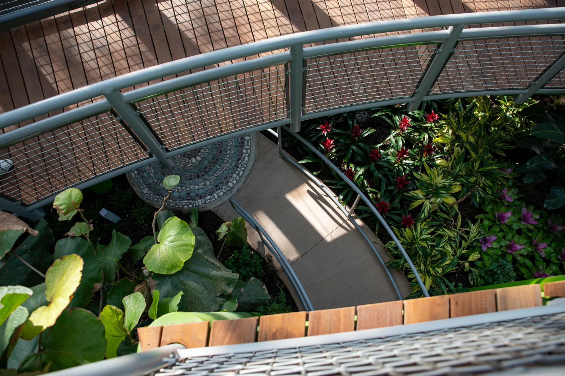 Top down view of the Children's Garden overlooking the ramp, garden beds and texture trail leading to the toddler area.