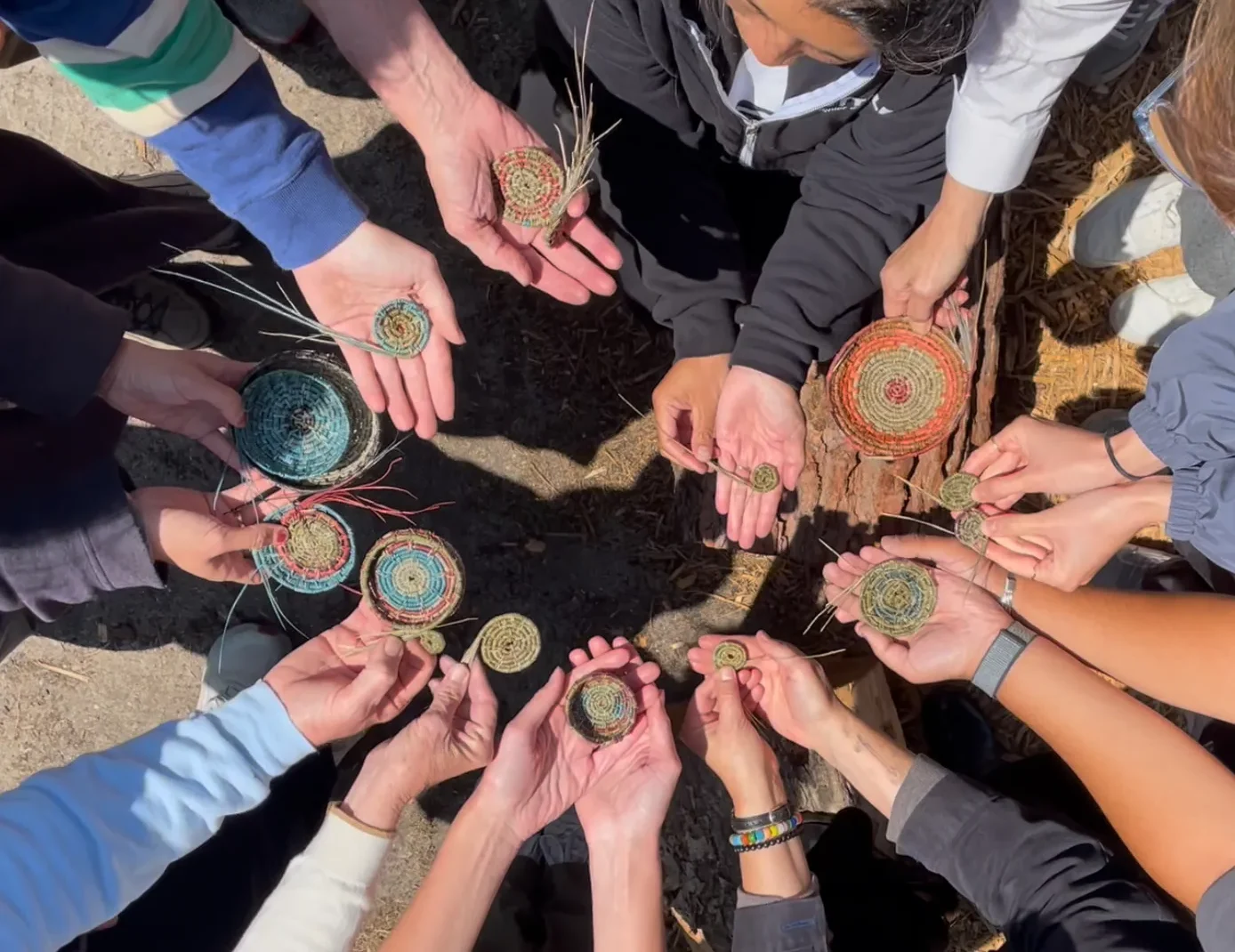 aerial photo of thirteen hands holding in-progress pine needle baskets