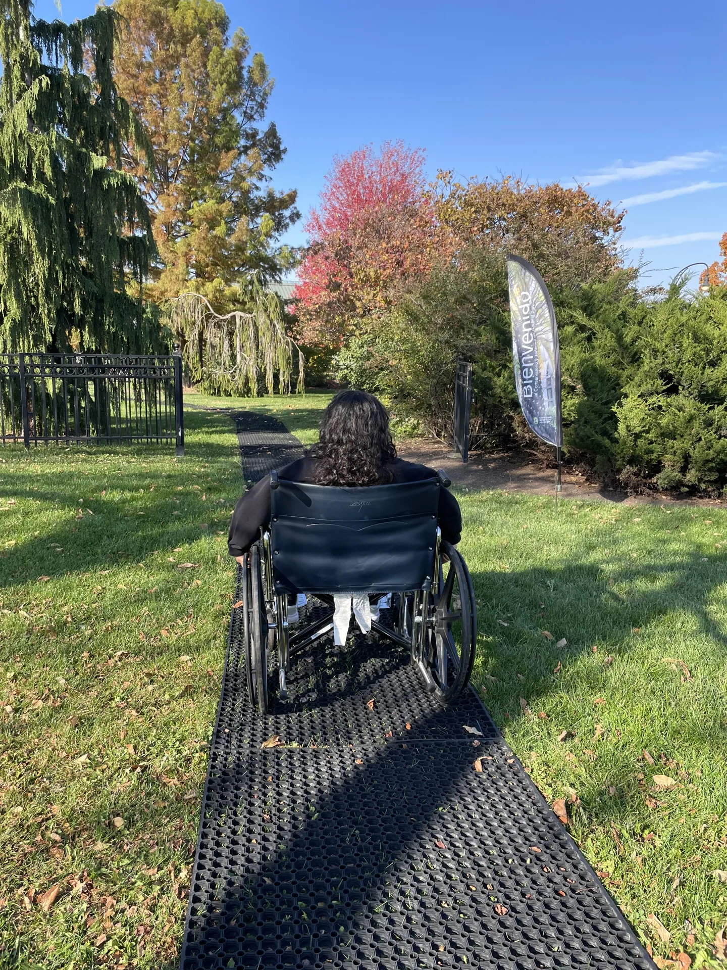 Someone using a wheelchair on the black rubber temporary main entrance path.