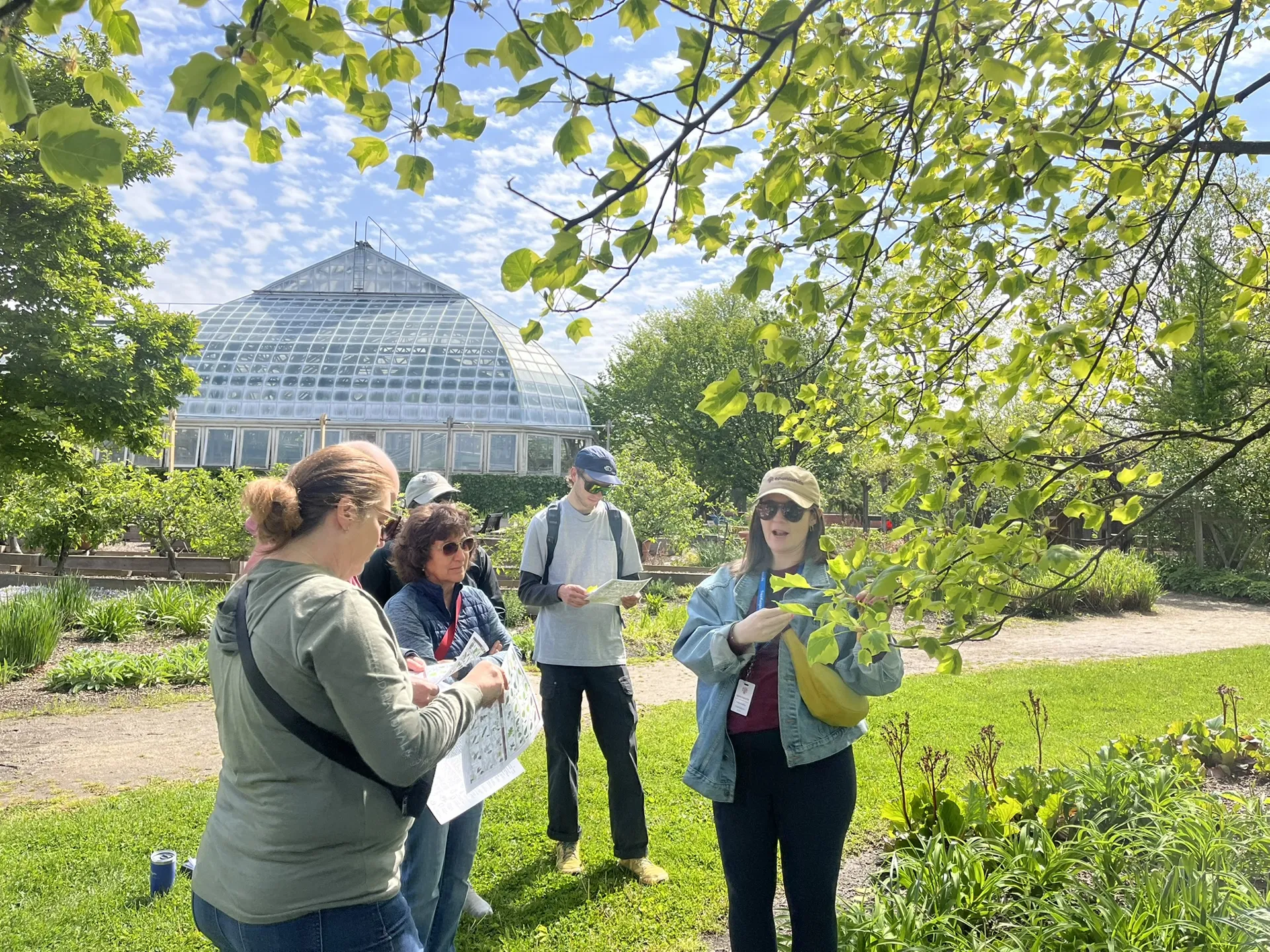 A group of six people outside on a sunny day. A woman leading the group is holding the leaves on a tree branch and addressing the group. The conservatory is in the background.